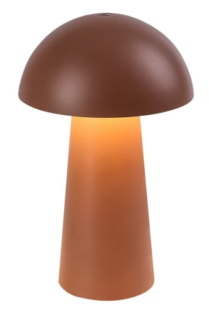 ILUMINAT - Veioza reincarcabila Rabalux Mireo LED 1,5W 60lm 3000 plastic brown stil  DC 5V IP44 76039