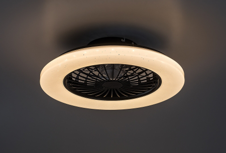 Ventilator Rabalux Dalfon2 LED 48W 1900lm 3000-6500 metal/ plastic black stil funcțional 230V, 50Hz IP20 71329 [2]