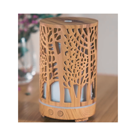 Casa si Decoratiuni - Difuzor aromaterapie DORY, lumina LED 7 culori, volum 200ml
