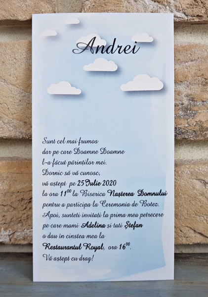 Invitatie de botez albastra cu donald duck - cod 8045 [2]