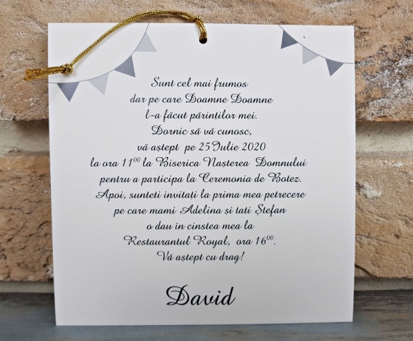 Invitatie de botez amuzanta cu zebra si snur - cod 8047 [3]