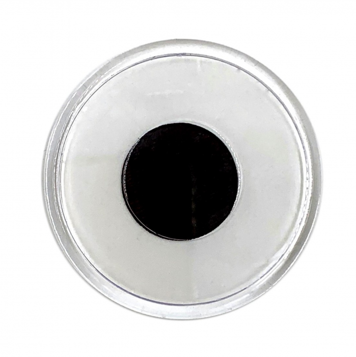Magnet De Frigider Insertie Foto Cerc [2]