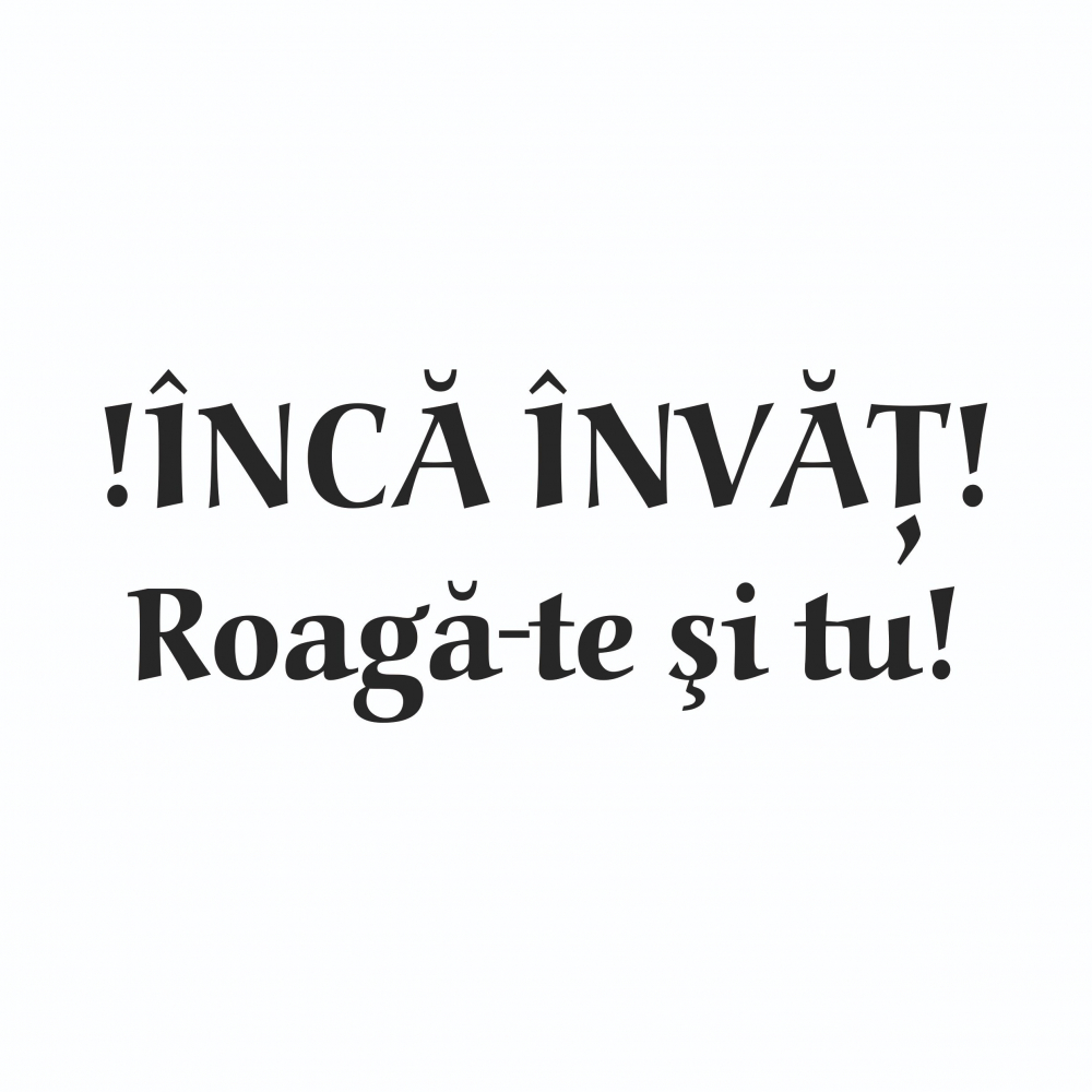 Sticker Auto - Inca invat! Roaga-te si tu! [2]