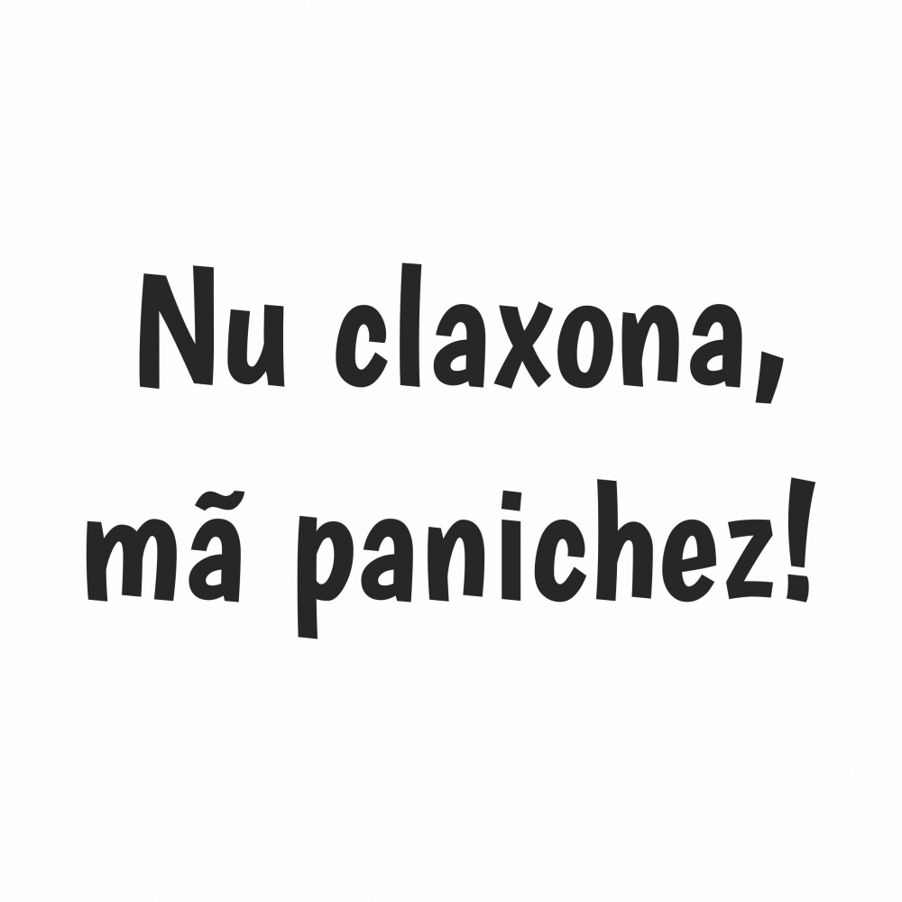 Sticker Auto - Nu claxona  ma panichez! [2]
