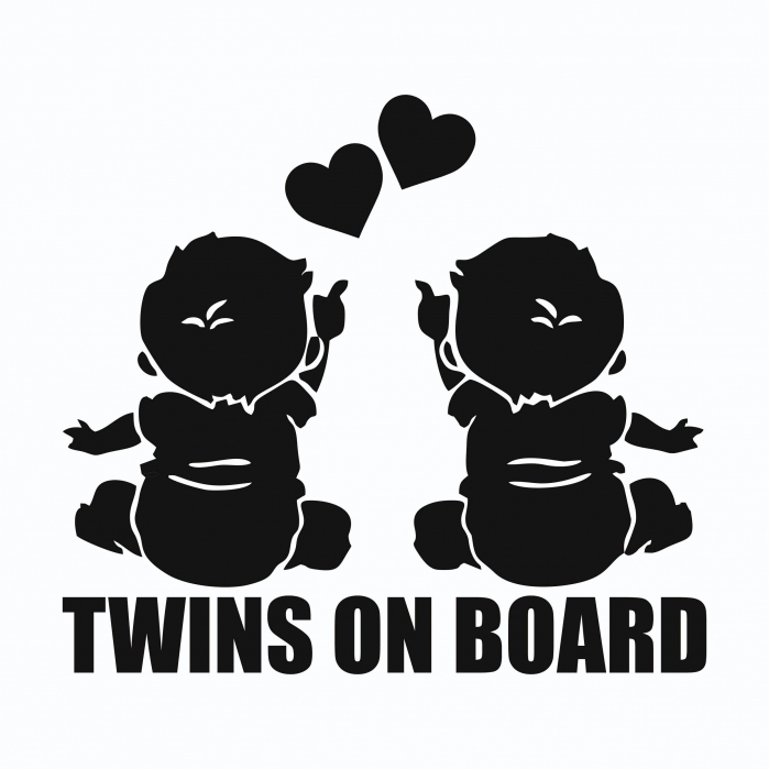 Sticker auto - Twins on board [2]