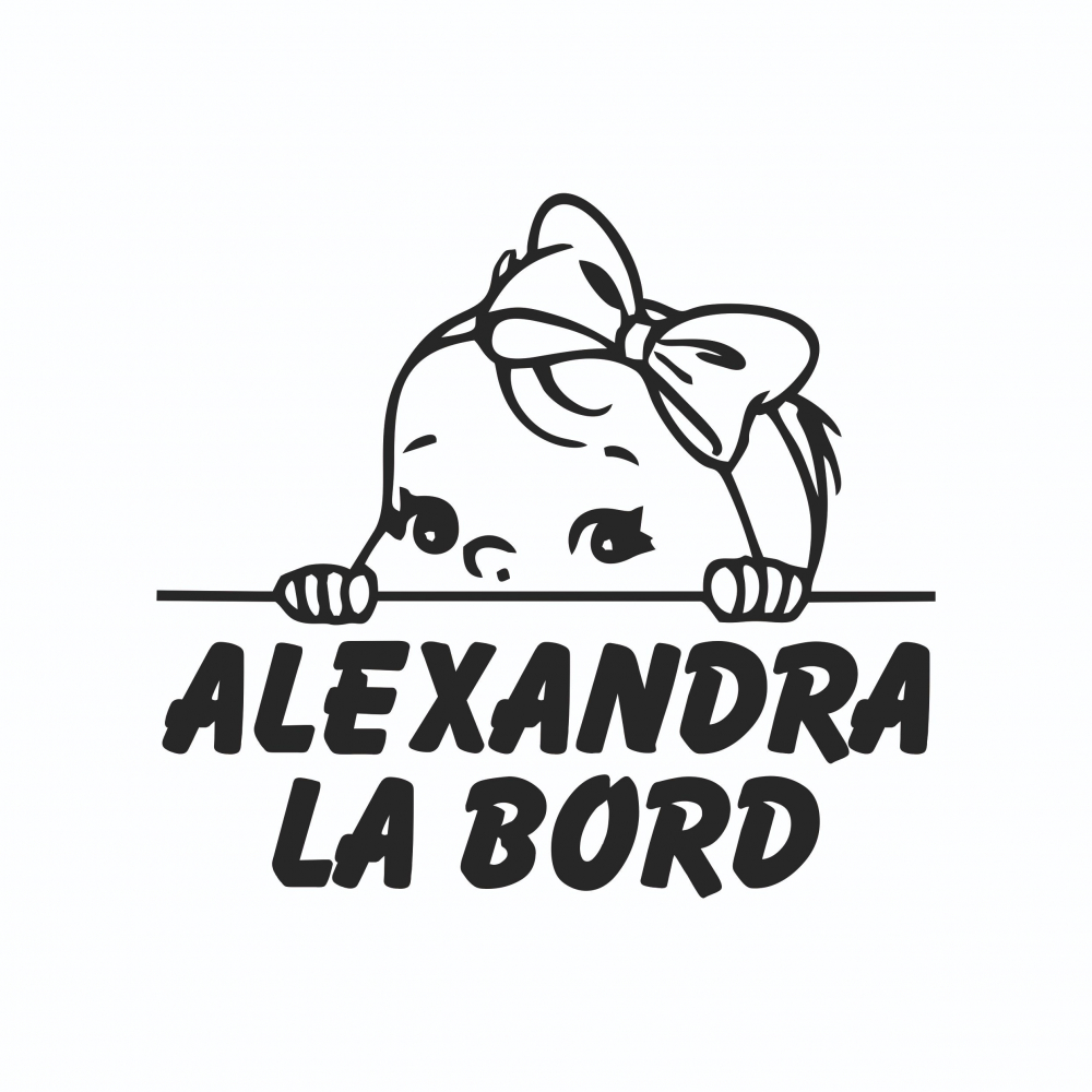 Sticker Auto Baby On Board - Bebe la bord fetita + nume [2]
