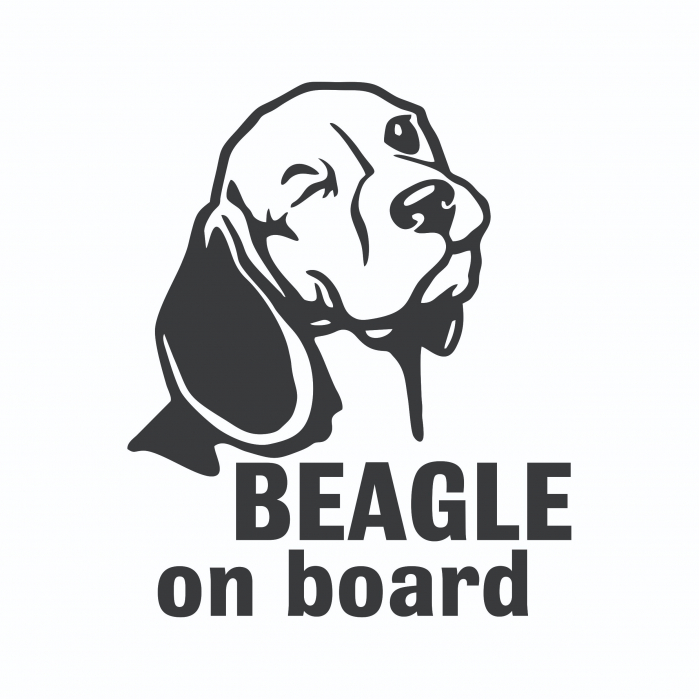 Sticker Auto - Beagle On Board [2]