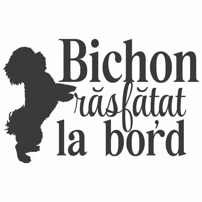 Sticker Auto - Bichon rasfatat la bord [2]