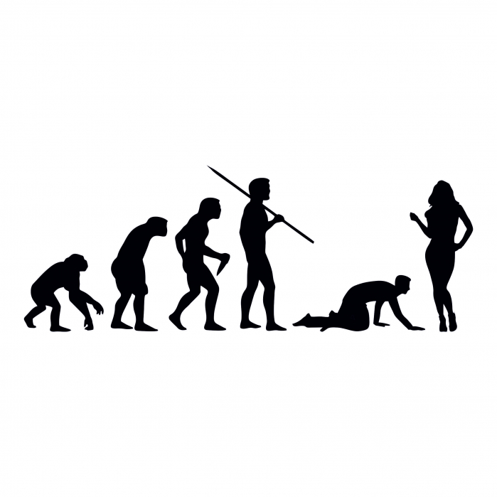 Sticker Auto - Evolutie barbati [2]