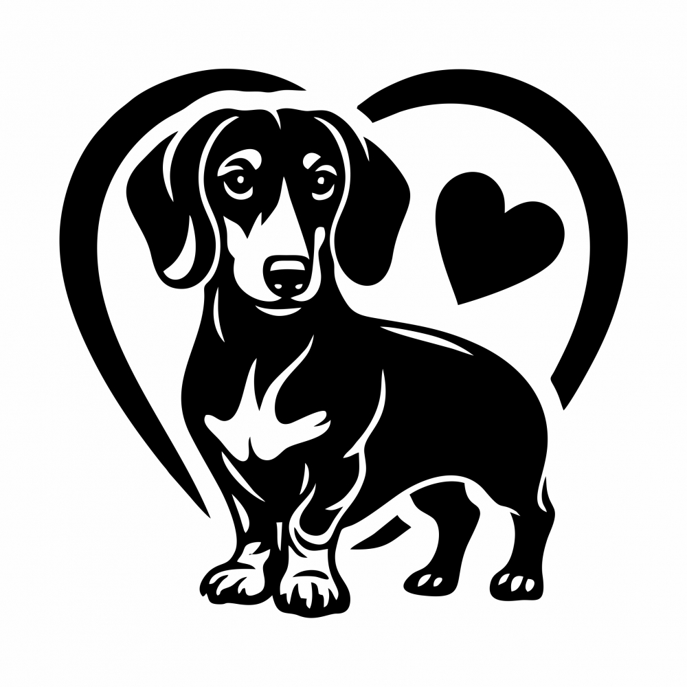 Sticker Auto - I love dachshund [2]