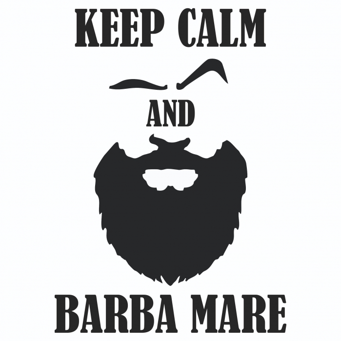 Sticker Auto - Keep calm and barba mare [2]