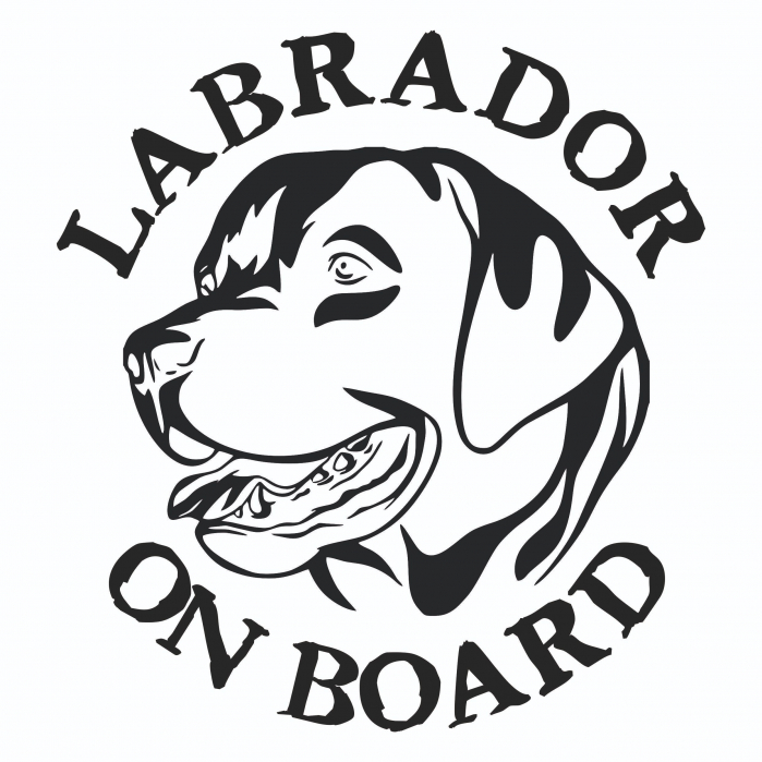Sticker Auto - Labrador on board [2]
