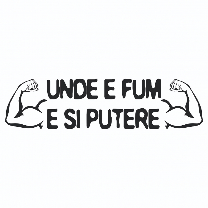 Sticker Auto Luneta - Unde e fum e si putere [2]
