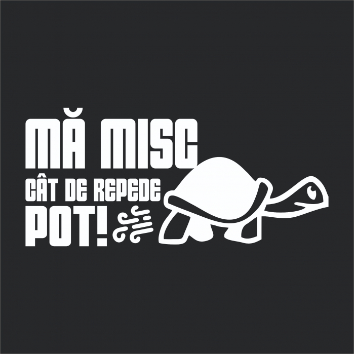 Sticker Auto - Ma misc cat de repede pot [2]