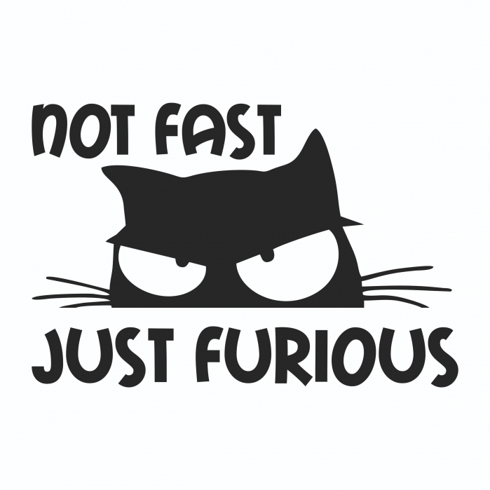 Sticker Auto - Not fast just furious [2]