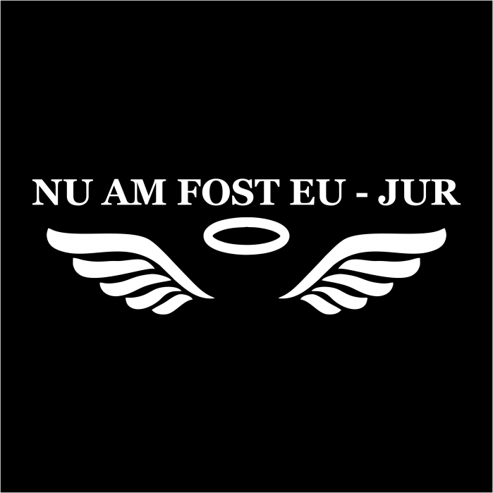 Sticker auto - Nu am fost eu [3]