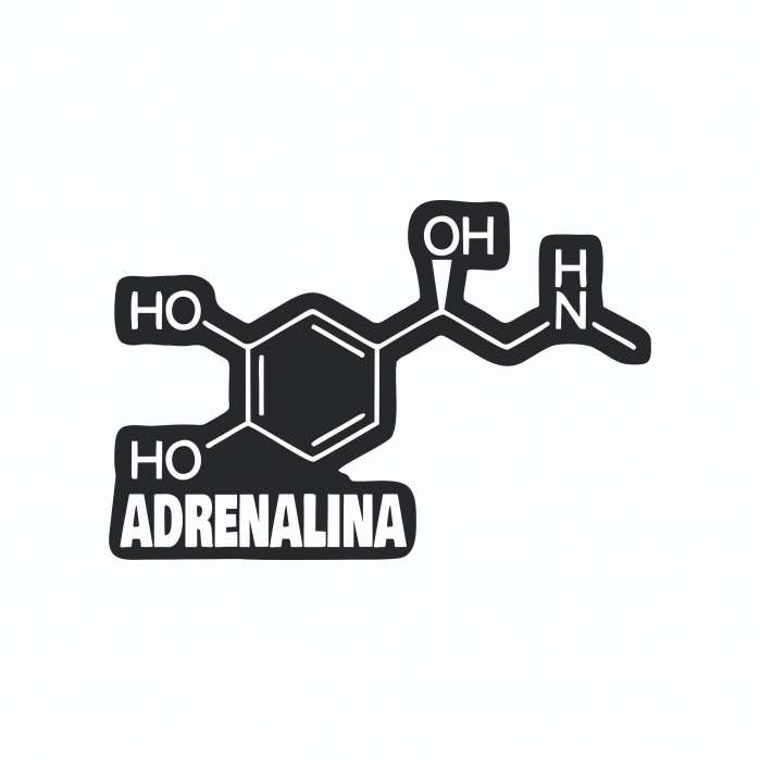 Sticker Auto - Formula Adrenalina [2]