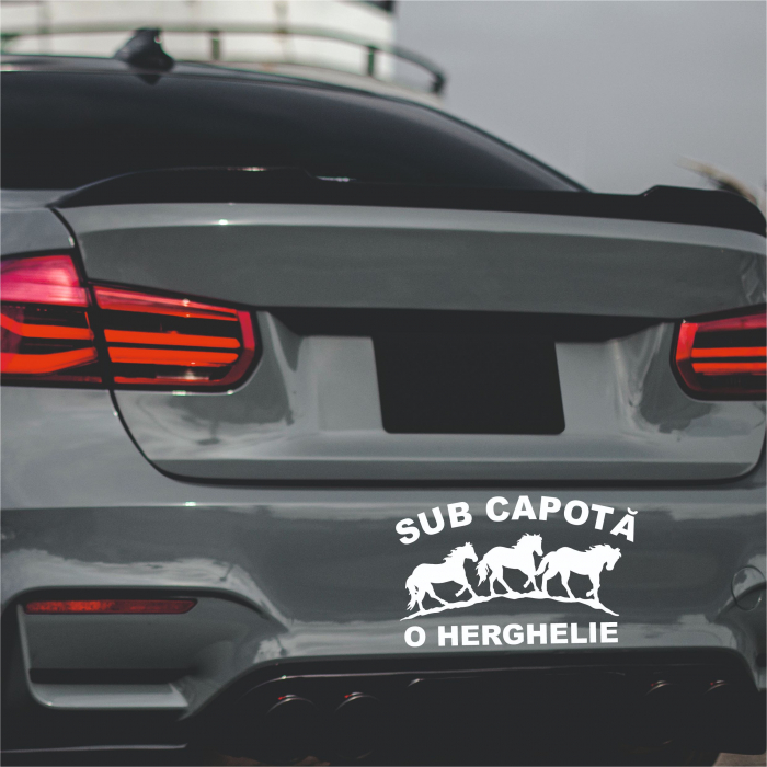 Sticker Auto - Sub capota o herghelie [1]