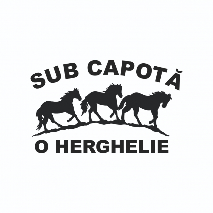 Sticker Auto - Sub capota o herghelie [2]