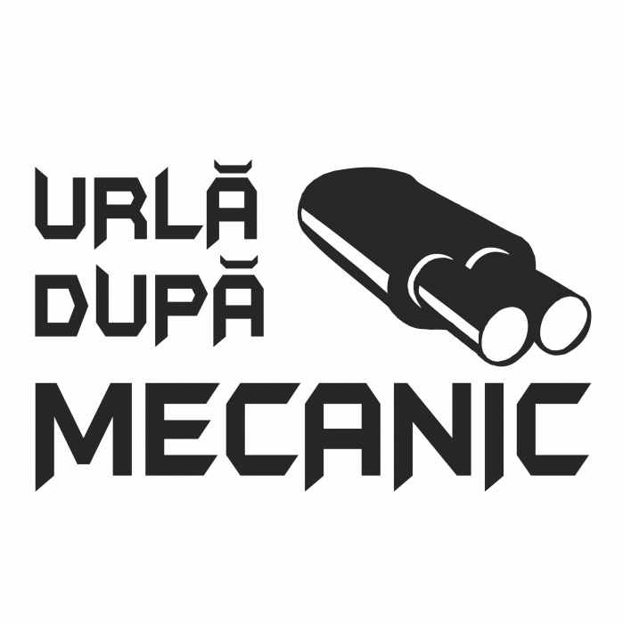 Sticker Auto - Urla dupa mecanic [2]