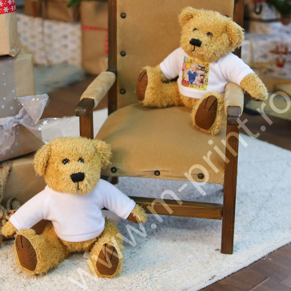 Ursulet de plus personalizat cu poza - Culoare Kaki [2]