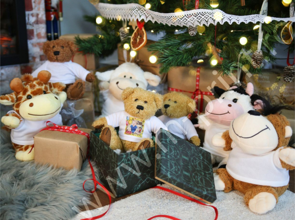 Ursulet De Plus Personalizat Cu Poza - Oita [2]