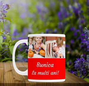 Cani Pentru Bunic Si Bunica