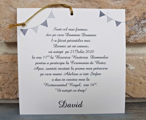 Invitatie de botez amuzanta cu zebra si snur - cod 8047 [2]