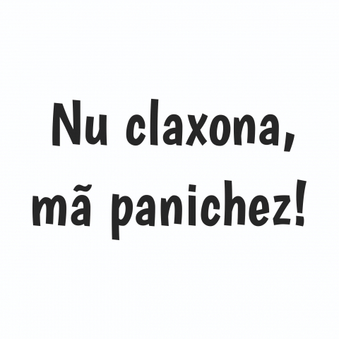 Sticker Auto - Nu claxona  ma panichez! [1]