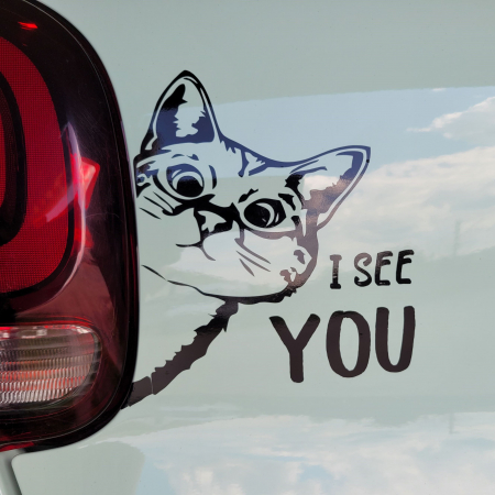 Stickere auto luneta - Sticker Auto - I See You