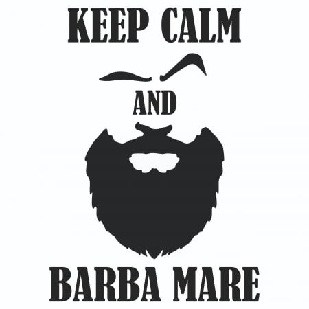 Sticker Auto - Keep calm and barba mare [1]