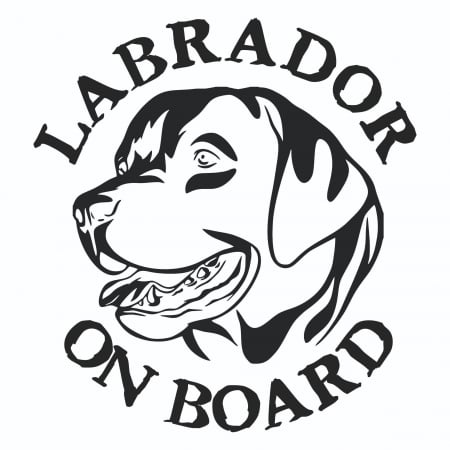 Sticker Auto - Labrador on board [1]