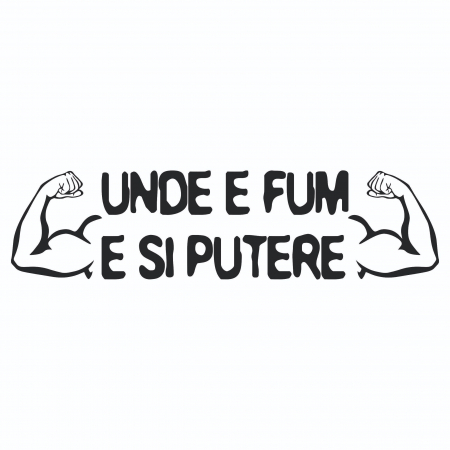 Sticker Auto Luneta - Unde e fum e si putere [1]