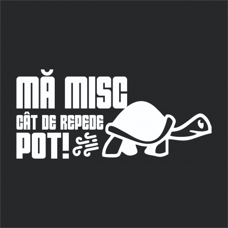 Sticker Auto - Ma misc cat de repede pot [1]