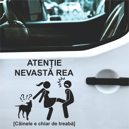 Stickere Auto - Sticker Auto - Nevasta rea