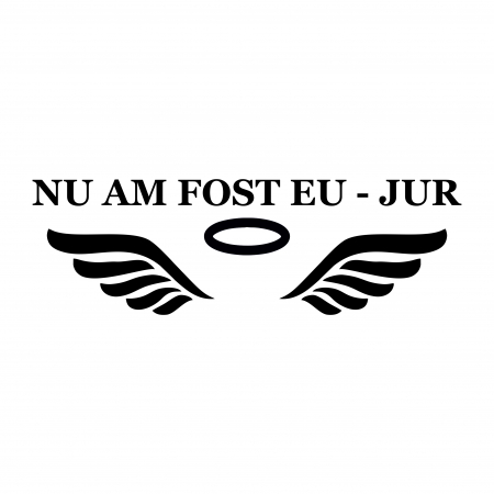 Sticker auto - Nu am fost eu [1]