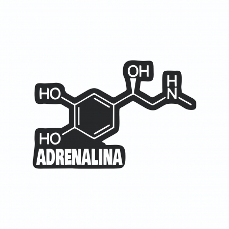 Sticker Auto - Formula Adrenalina [1]