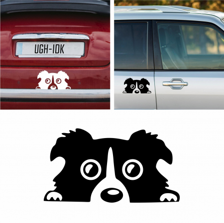 Stickere auto animale la bord - Sticker Auto - Peeking catel