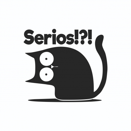 Sticker Auto - Serios?!? [1]