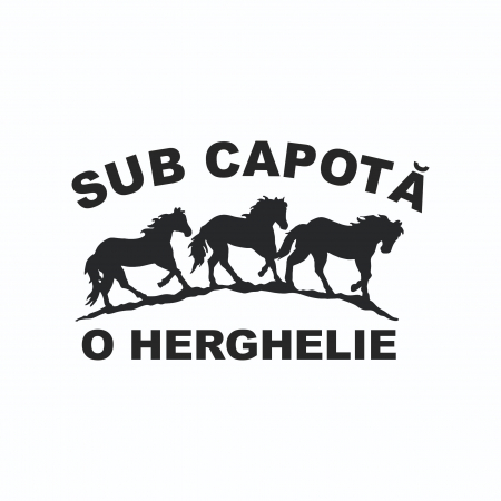 Sticker Auto - Sub capota o herghelie [1]