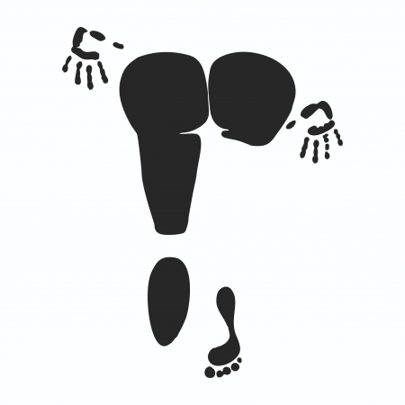Sticker Auto - Urme de femeie [1]