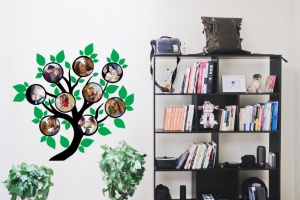 Stickere Rame Foto - Sticker Rama Foto Copac 2