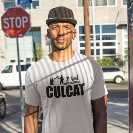 Tricou personalizat Meme - 7 lei Motorina Culcat [1]