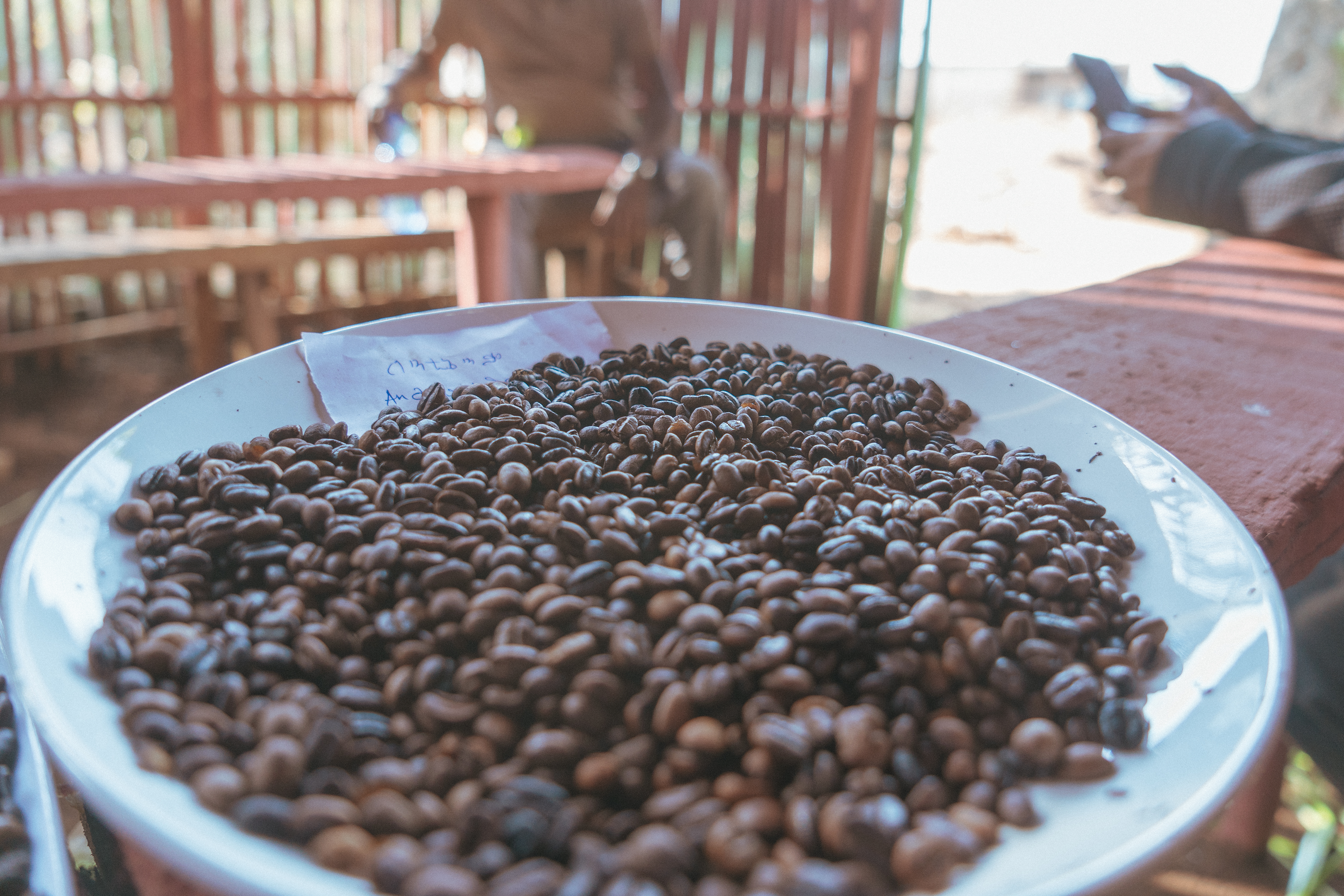 Cafea de specialitate din Etiopia, Benti Nenka