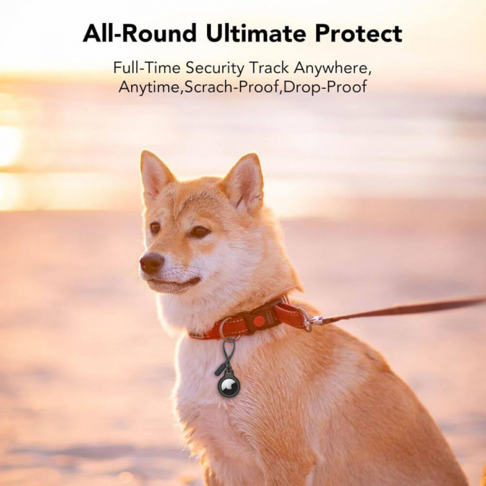 Pachet huse Airtag Tech-Protect Rough chain 2 buc [6]