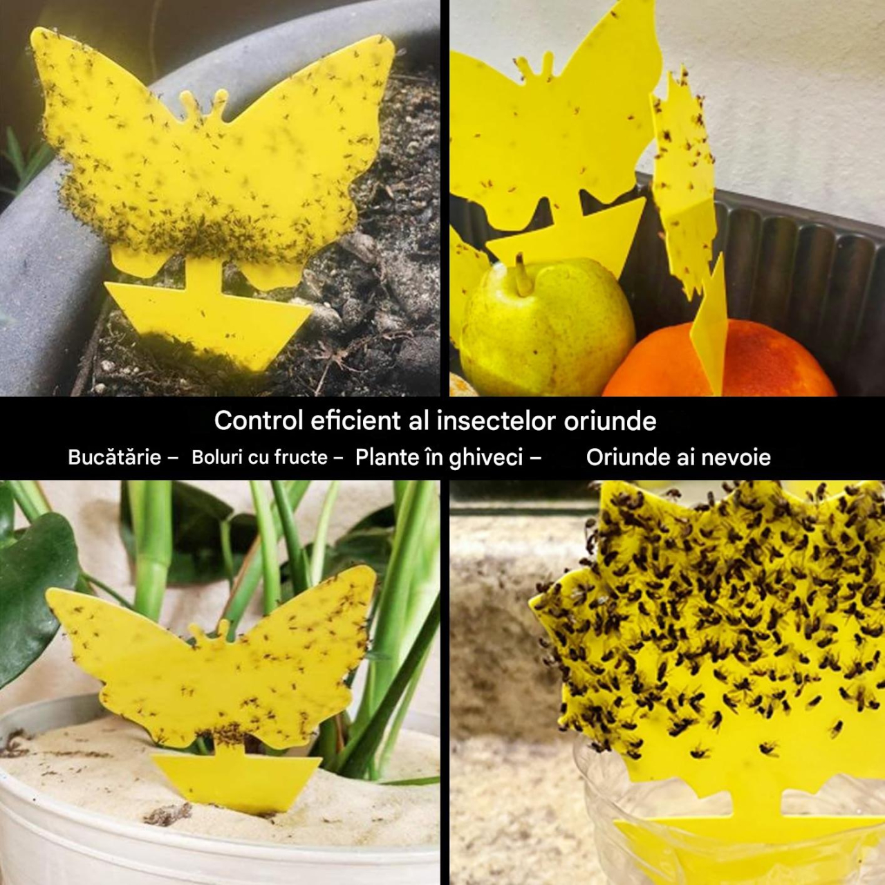 capcana adeziva insecte ghiveci galbena MaffStuff [8]