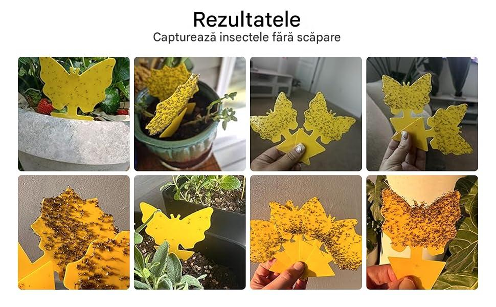 capcana adeziva insecte ghiveci galbena MaffStuff [9]