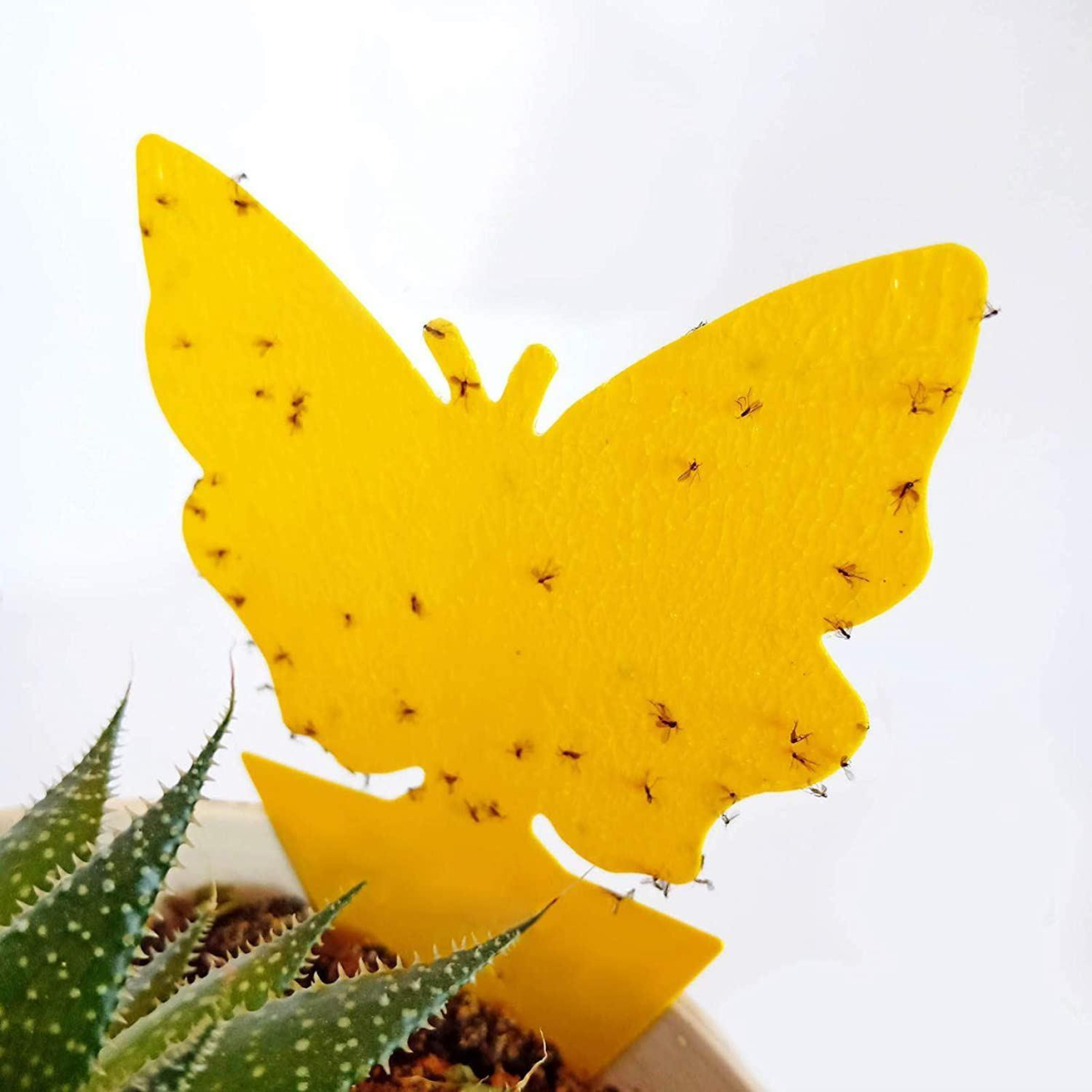 capcana adeziva insecte ghiveci galbena MaffStuff [10]