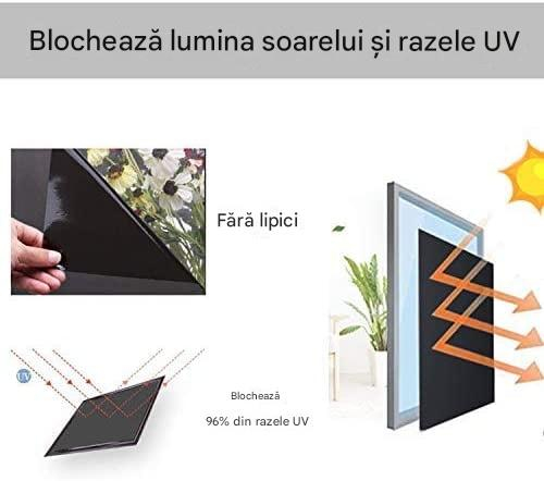 folie geam opaca electrostatica neagra MaffStuff [8]