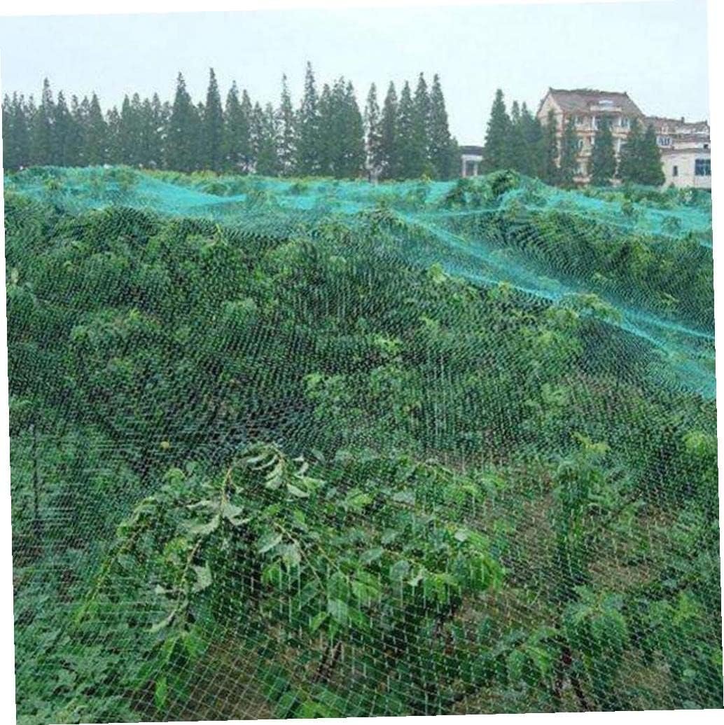 Plasă Protecție Pomi Fructiferi, PVC Verde, 400x500 cm [10]